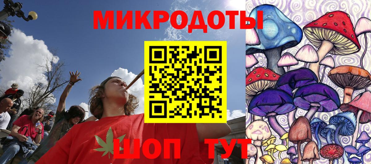 Галлюциногенные грибы Psilocybe Янаул